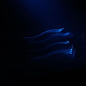 Meet your Posher, Jarrod